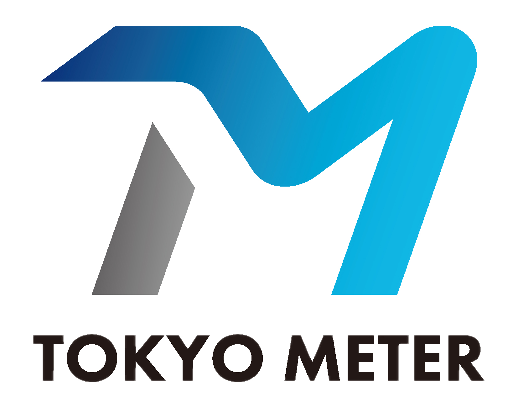 東京メータ株式会社